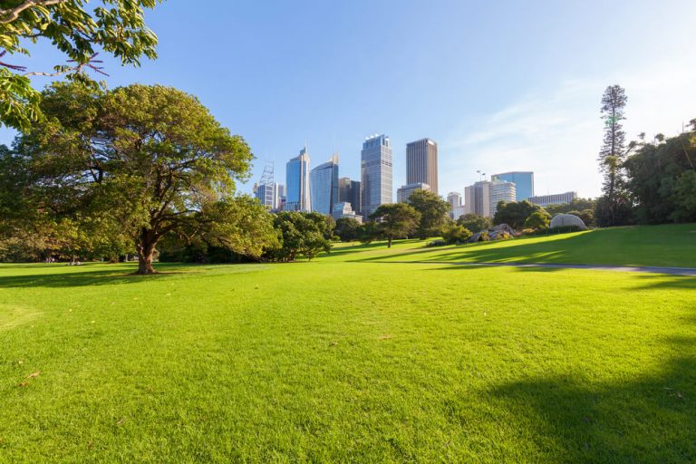 A view of sunny Central Park in New York City.