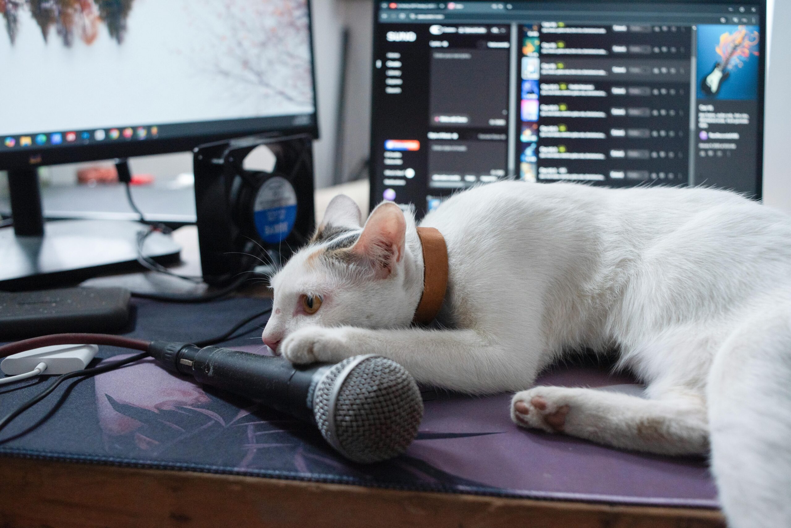 Too lazy to record, Papa!